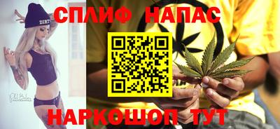 шишки Пугачёв