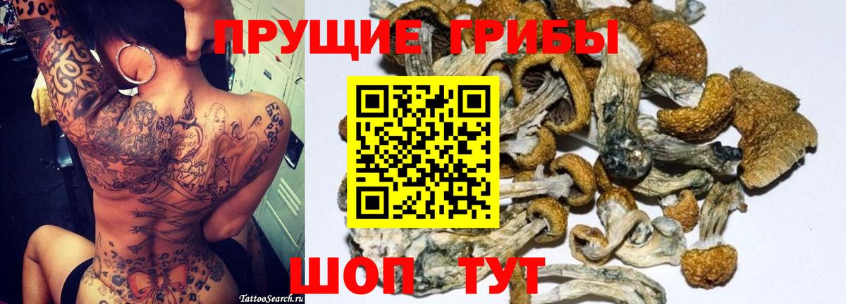 Псилоцибиновые грибы Psilocybe  Вход с VPN  Галлюциногенные грибы Magic Shrooms  Рубцовск 